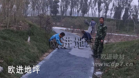 彩色压模地坪-欧进地坪www.licheng1555.cn