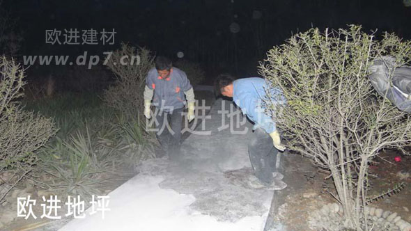 彩色压模地坪-欧进地坪www.licheng1555.cn