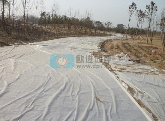 彩色生态透水混凝土地坪-欧进建材www.licheng1555.cn